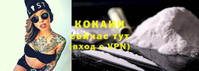 кракен сайт  Елизово  COCAIN Эквадор 