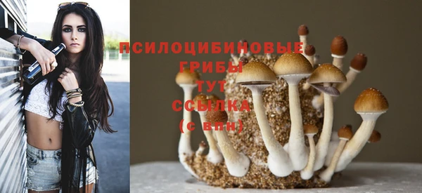 герыч Михайлов