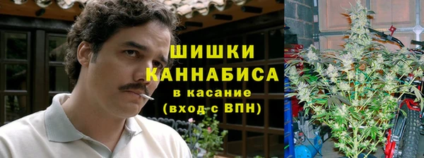 PSILOCYBIN Михайловка