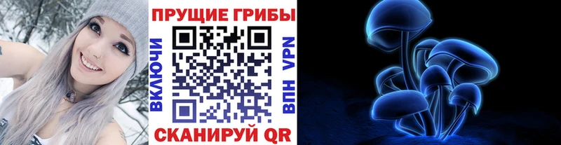 Псилоцибиновые грибы MAGIC MUSHROOMS  мега ссылка  Елизово 