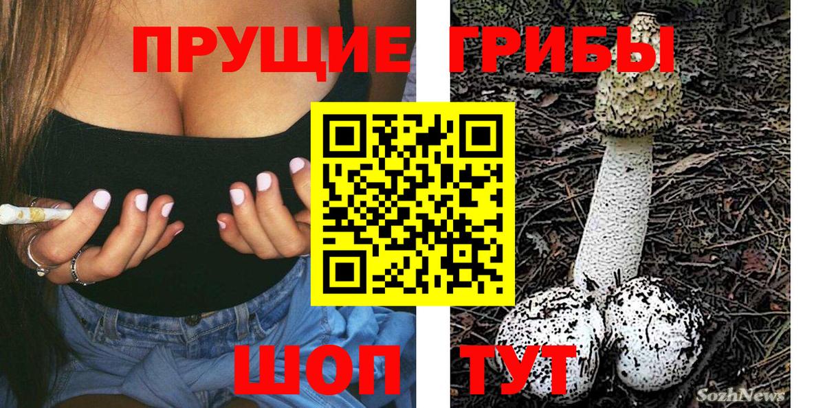 Галлюциногенные грибы Psilocybine cubensis Елизово