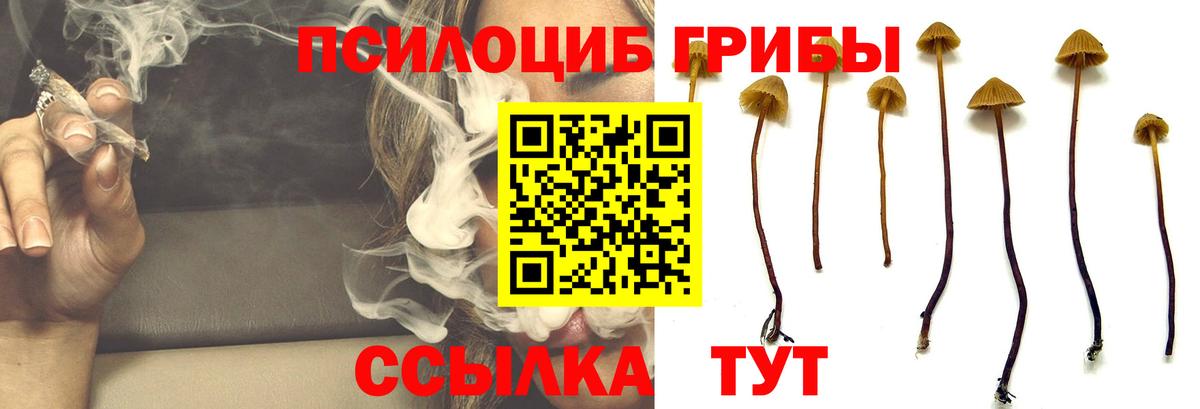 Галлюциногенные грибы прущие грибы  Вход с VPN  Елизово 